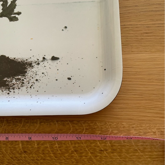 IKEA Tray! 🌵 - Picture 3 of 3